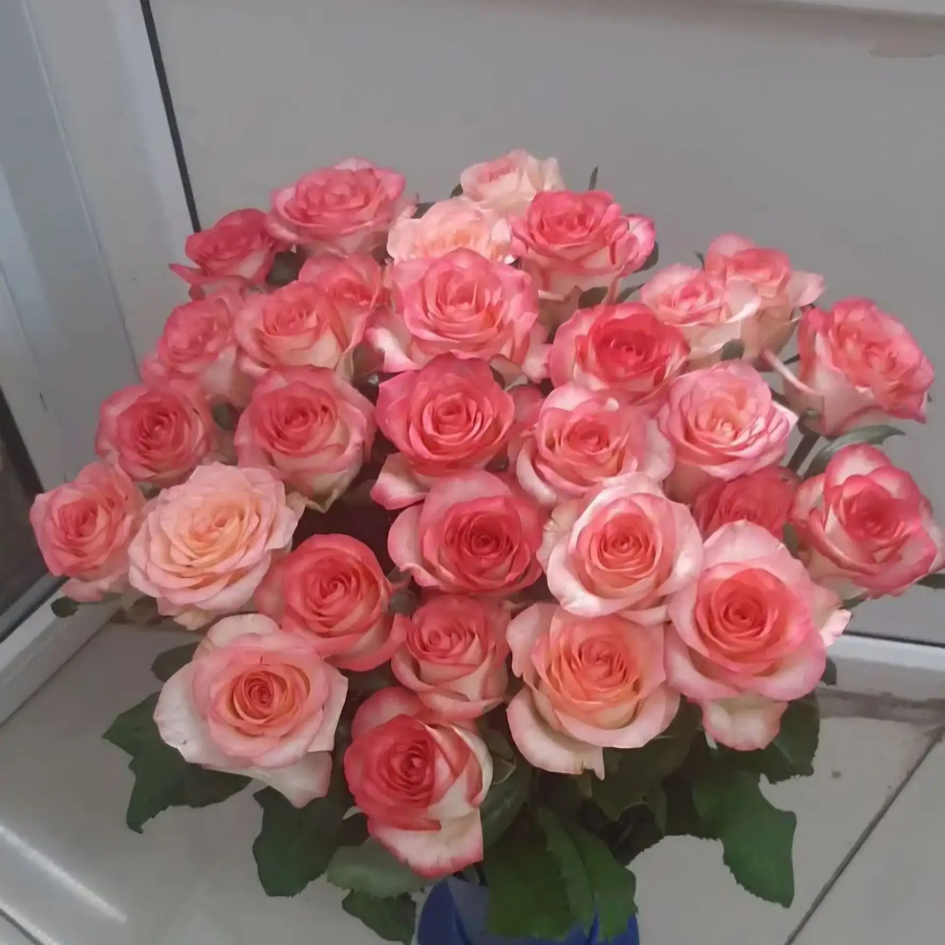 😻 Розы 60см по 150 ₽ 🌹💥🔥