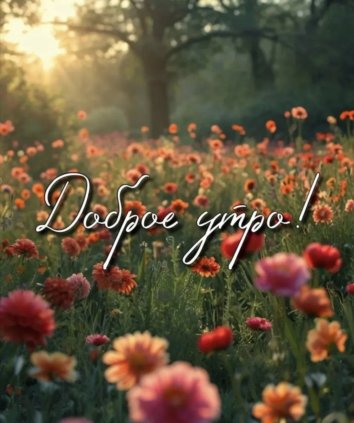 Доброе утро, мои дорогие подписчики 🥰