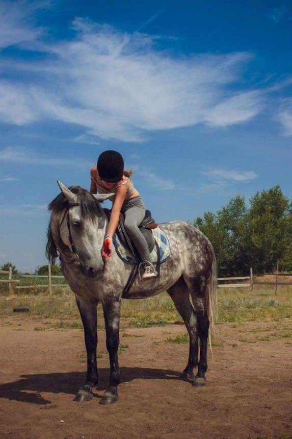 Волгоградский казачий конно-спортивный клуб в Красноармейском районе объявляет набор!
