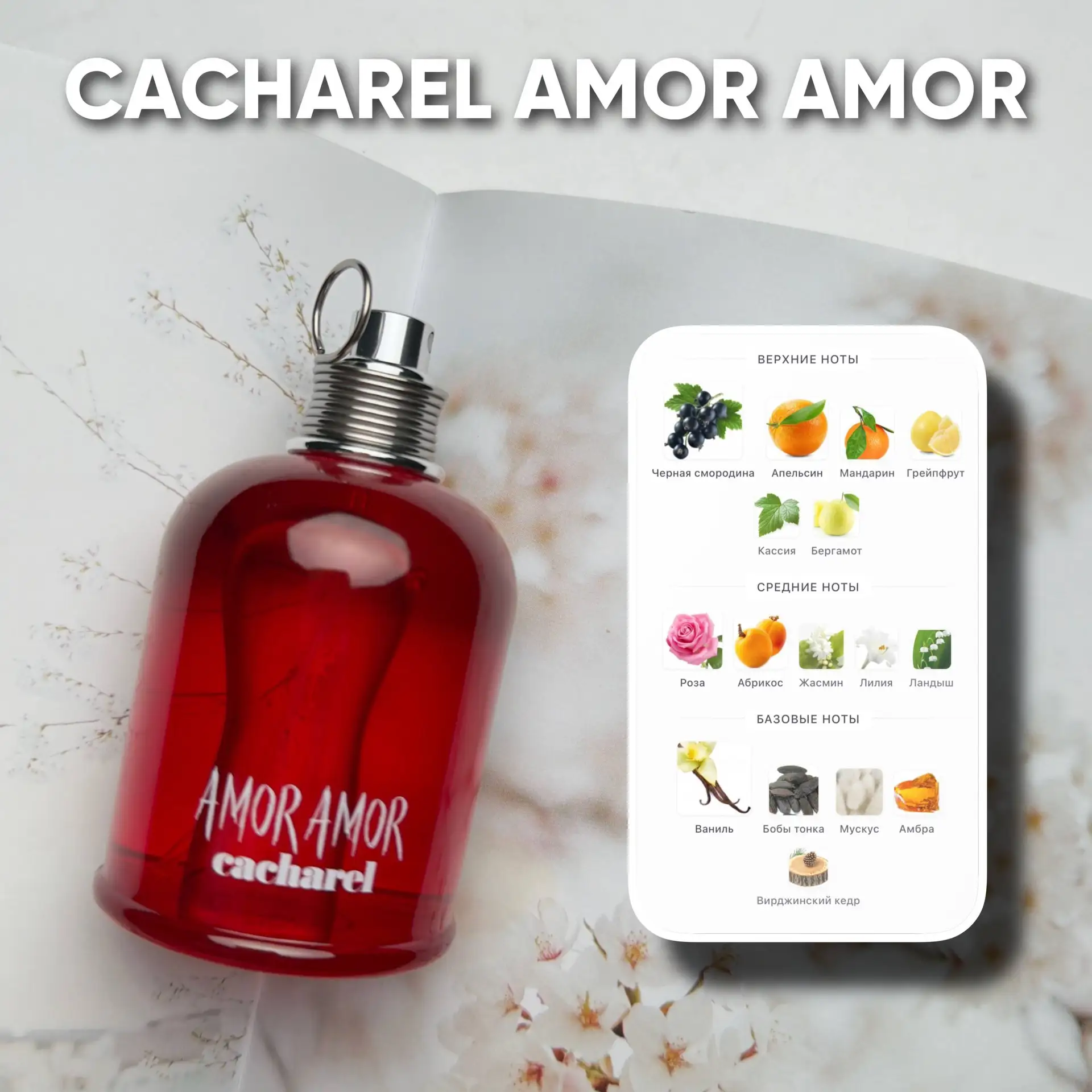 ❤️ AMOR AMOR в переводе с испанского означает «Любовь. Любовь.» Иногда одного слова бывает недостато
