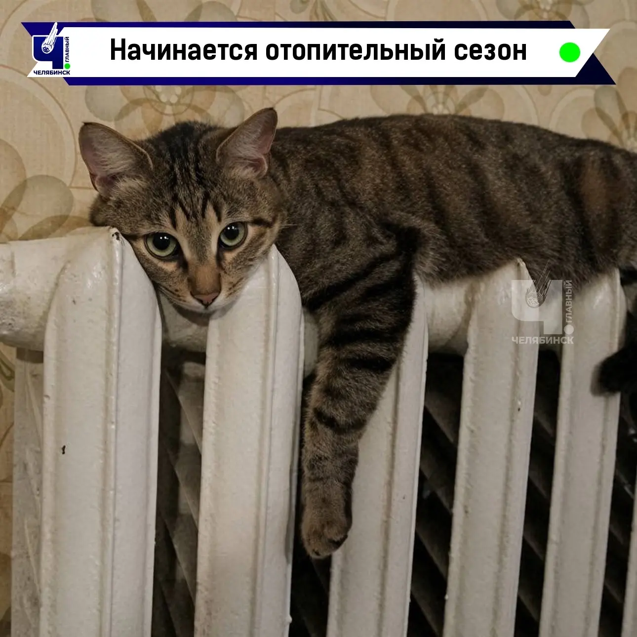 🥵 С 5 октября в Челябинске начинают включать отопление