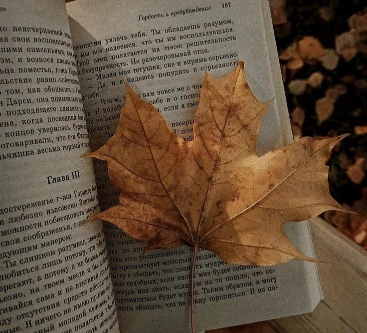 〖  Не жди идеального момента - сентябрь сам по себе идеален для начала〗