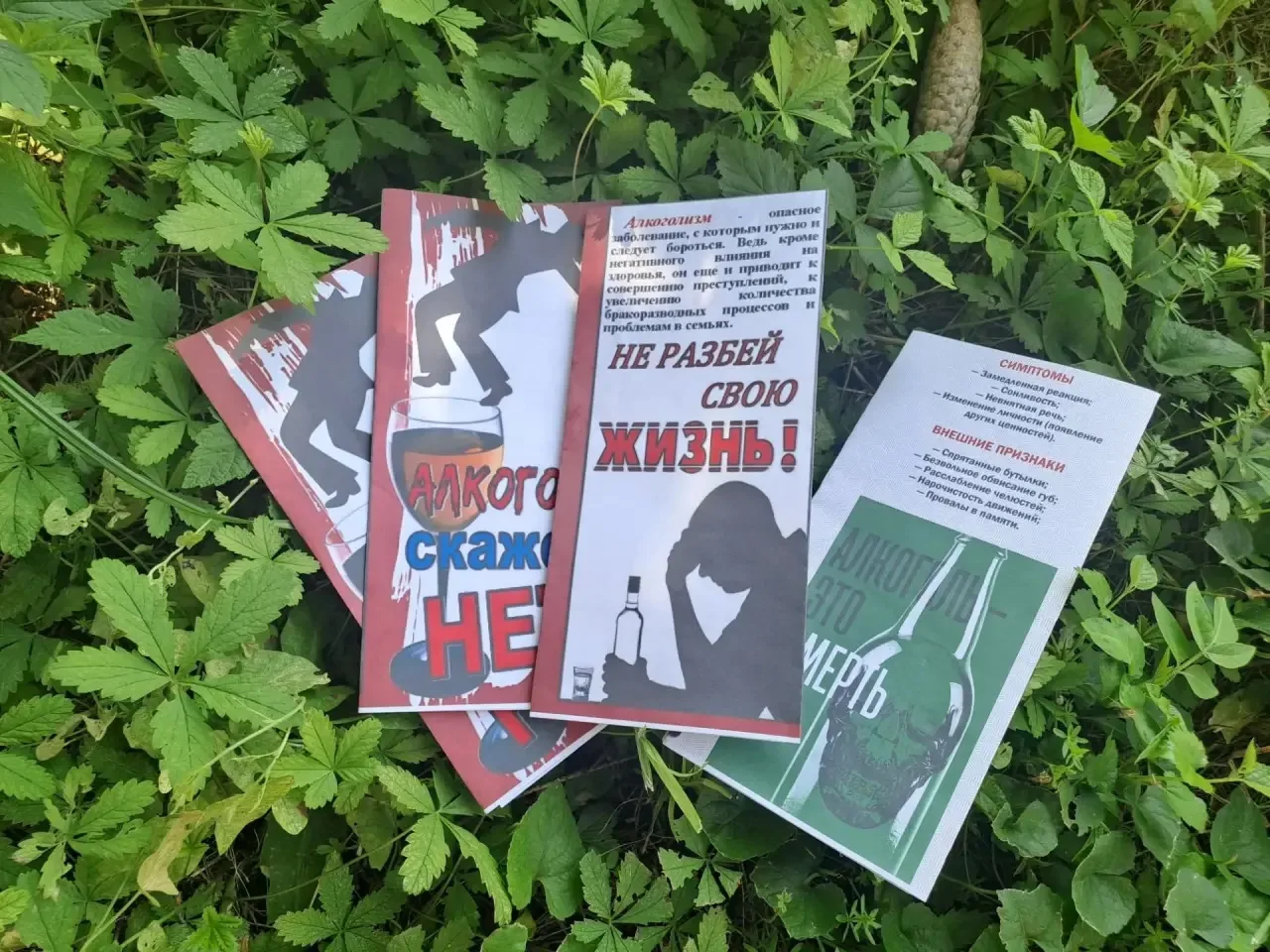 В селе Архангельском состоялось профилактическое мероприятие, направленное на пропаганду здорового о