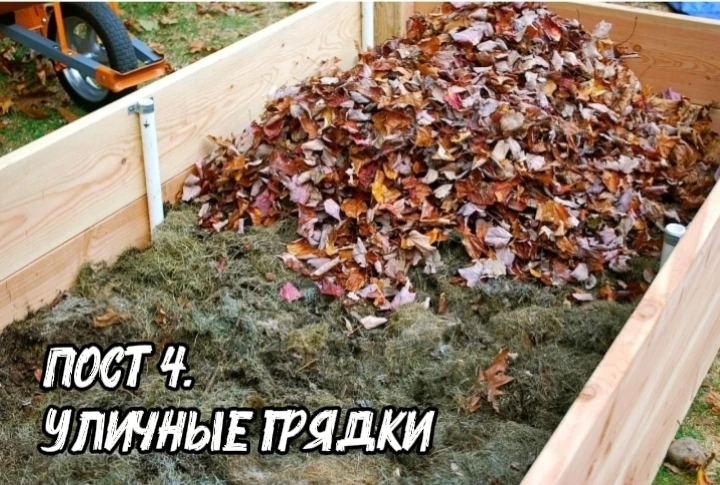 📌 ПОСТ 4. УЛИЧНЫЕ ГРЯДКИ: переносим технологии в открытый грунт