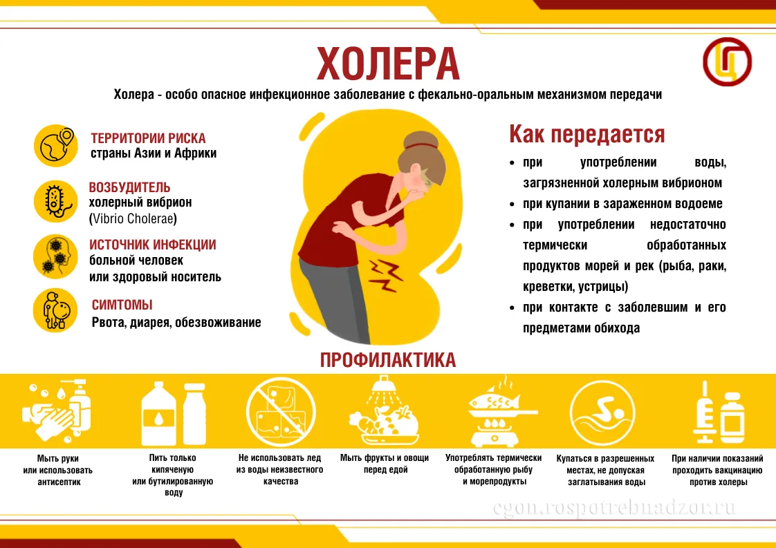Памятка по профилактики холеры
