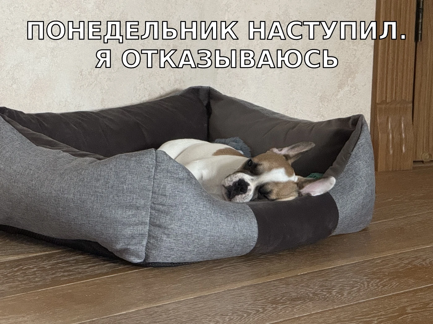 Опять этот понедельник....
