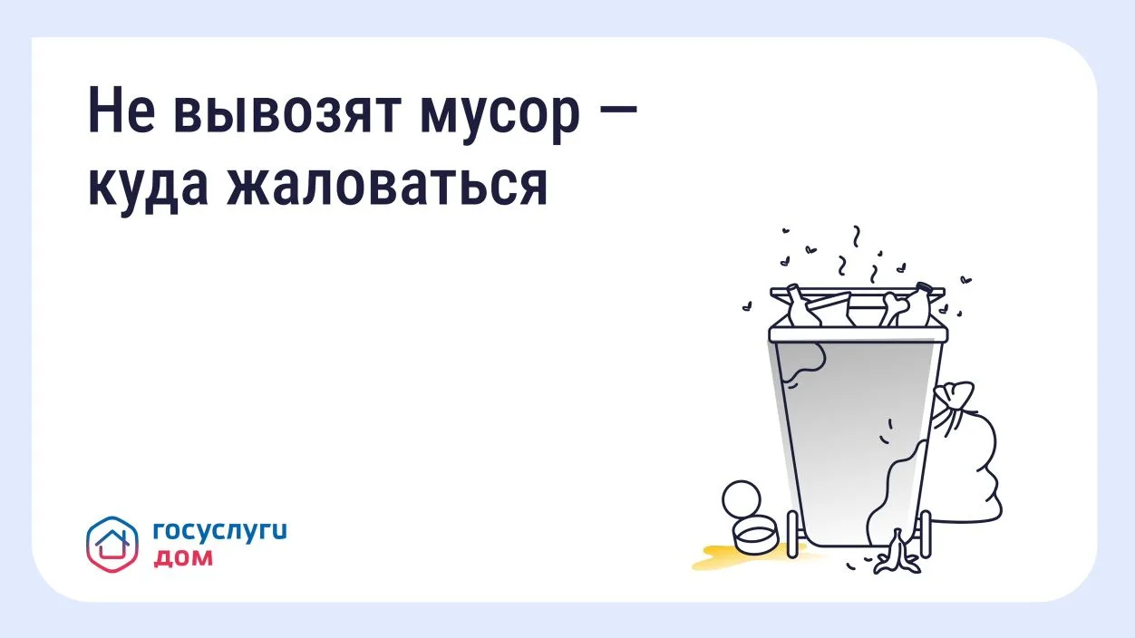 Что делать, если вовремя не вывозят мусор? Восстановите порядок с помощью телефона и «Госуслуги Дом»