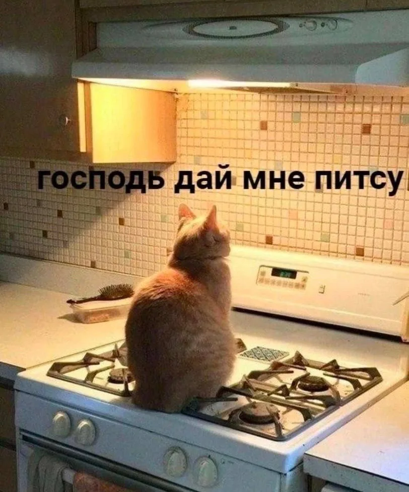 Просто я сегодня весь день

Вы знали, что в 2026 году еще можно заболеть ковидом? 😩 как будто тольк