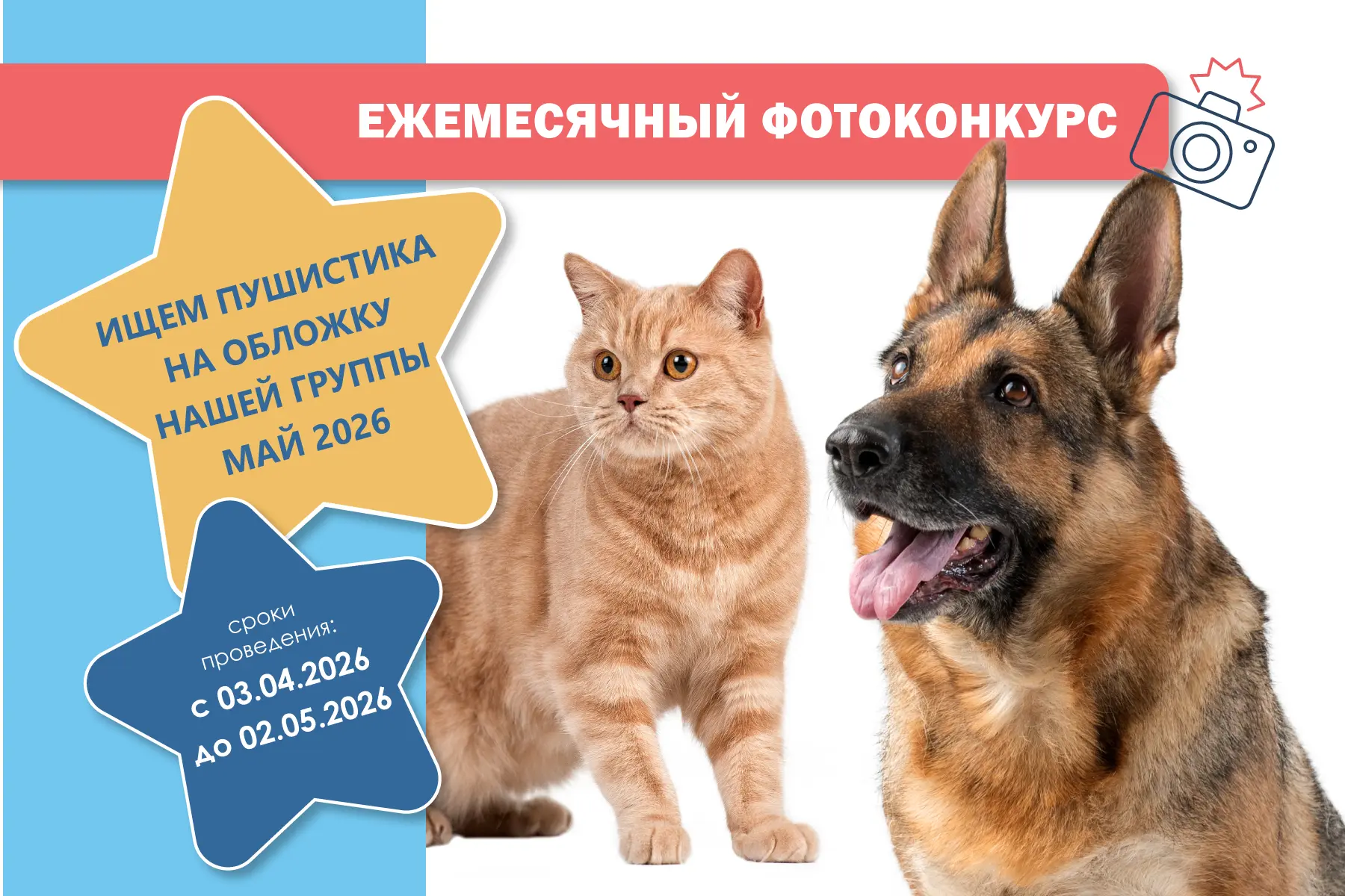 ВЫБИРАЕМ ПУШИСТИКА МАЯ 2026