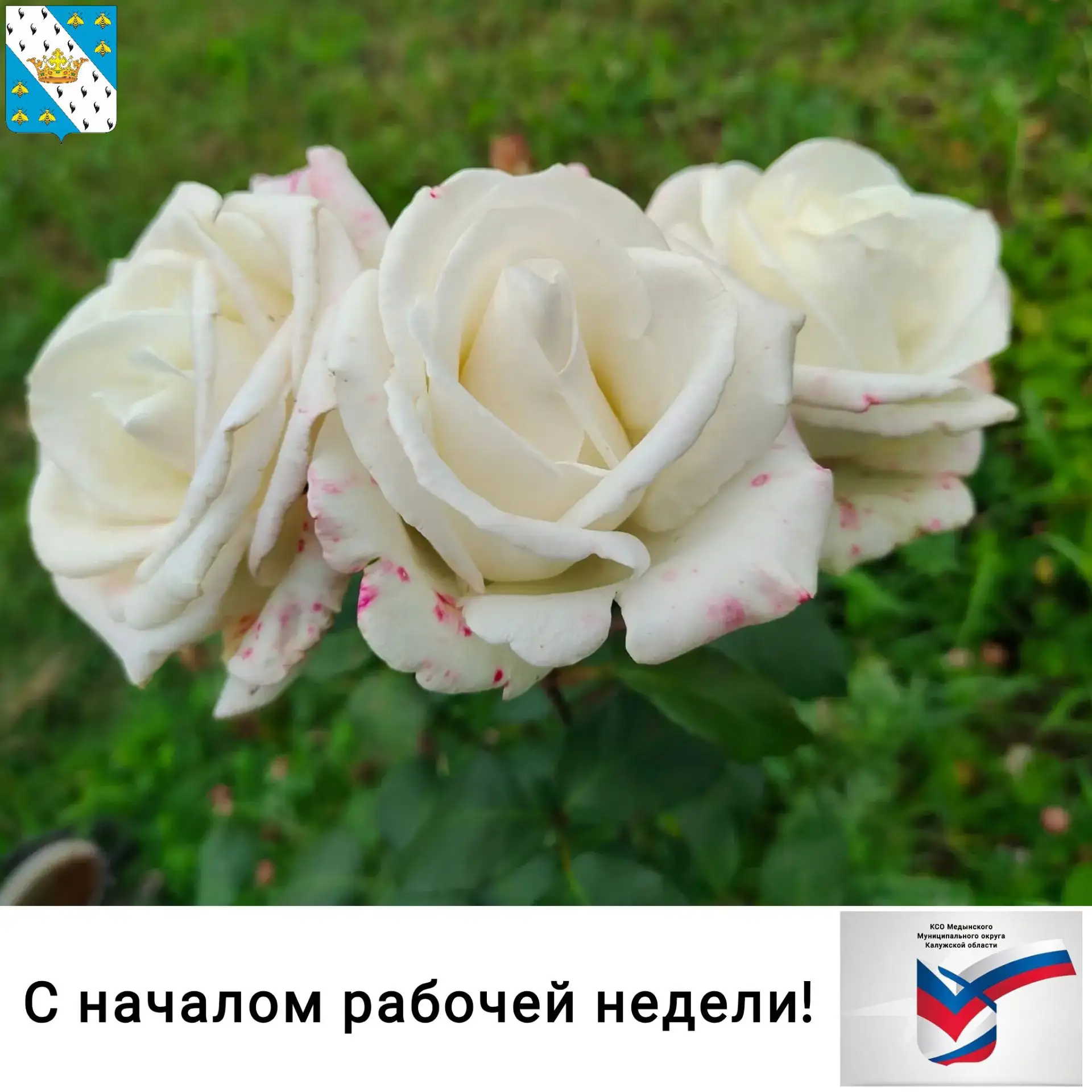 🌼С началом рабочей недели, друзья!