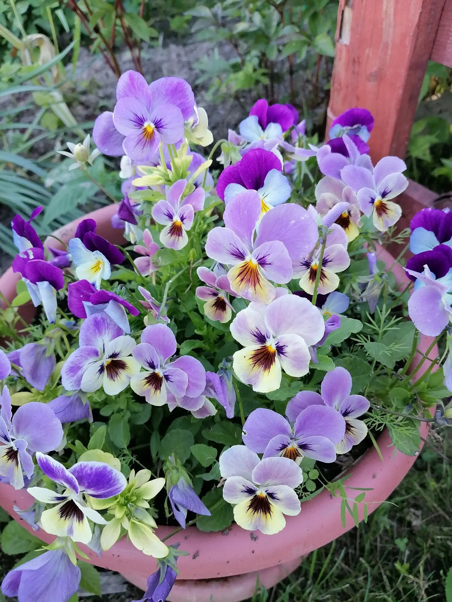 С добрым утром! 🌼