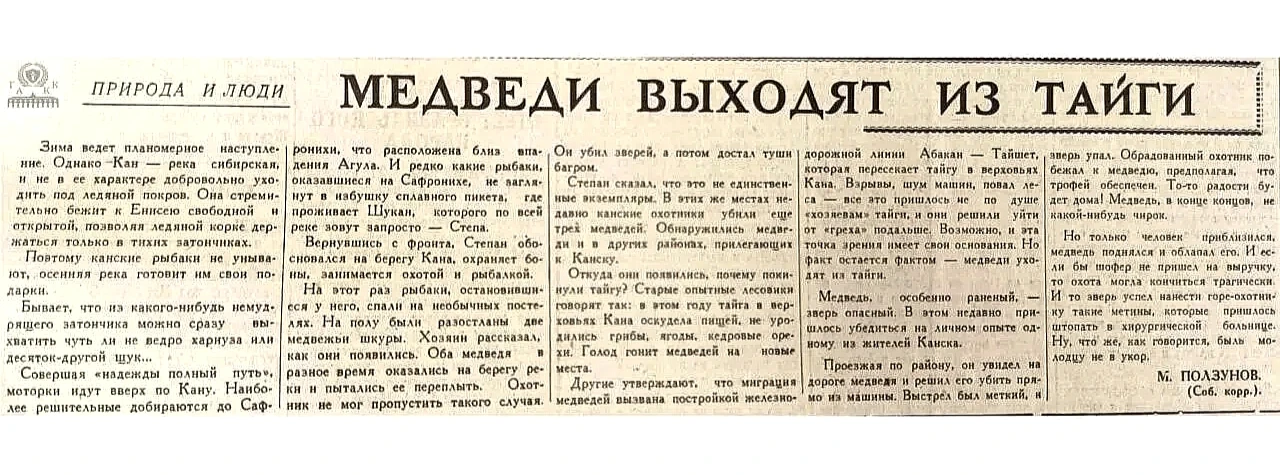 😳🐻Подобные случаи с выходами медведей к жителям края фиксировали 60 лет назад