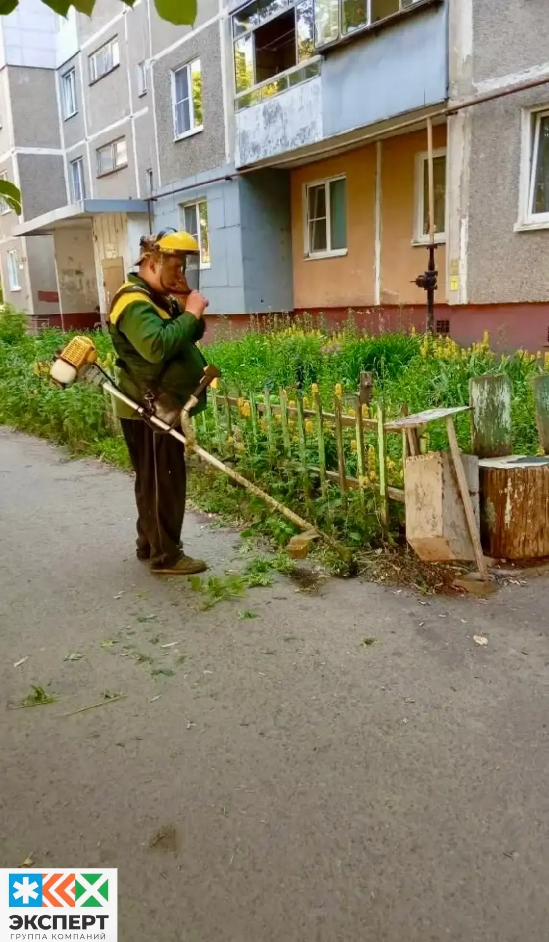 ООО УК «Эксперт» произвела покос сорной растительности, по адресу: