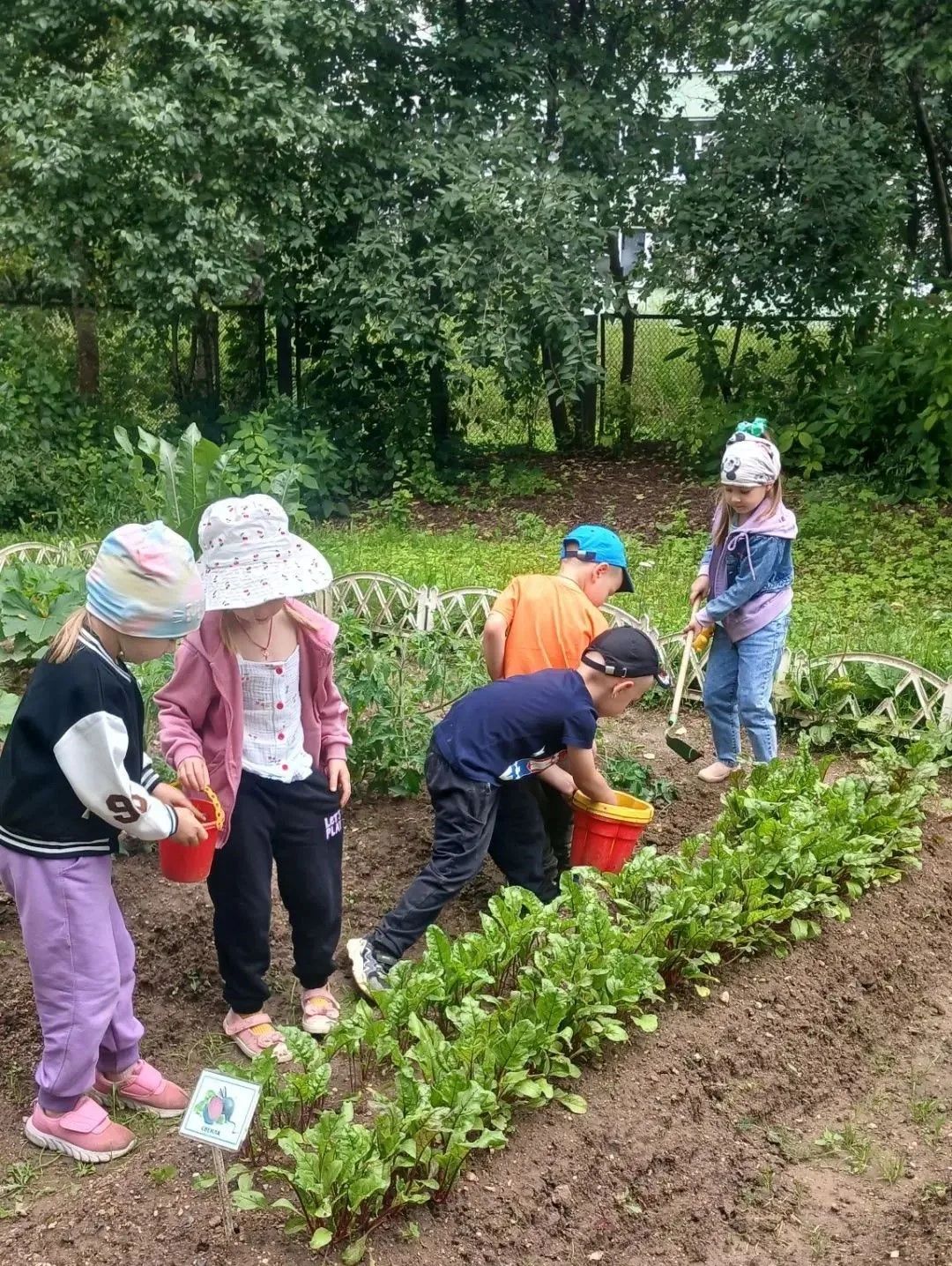 ☘️Огород в детском саду: где растут не только овощи, но и доброта 
Главный секрет хорошего урожая — 