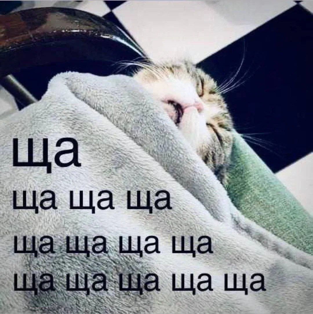 Доброе утро 😍 Сегодня слабый дождь · +5…+9° · слабый ветер 4–5 м/с, порывы до 14 м/с