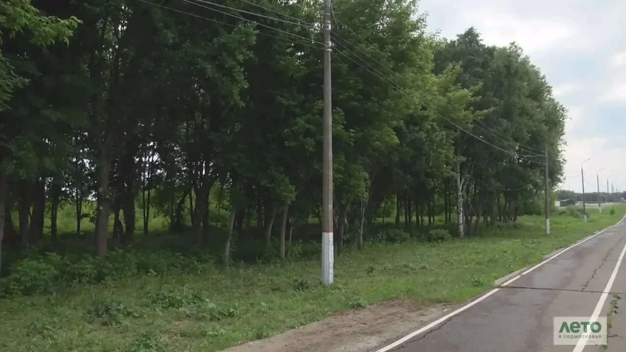 Бронницы голосуют за парк Победы

https://www.bronnitsy.ru/video/post/Edinaya_Rossiya_zavershaet_gol