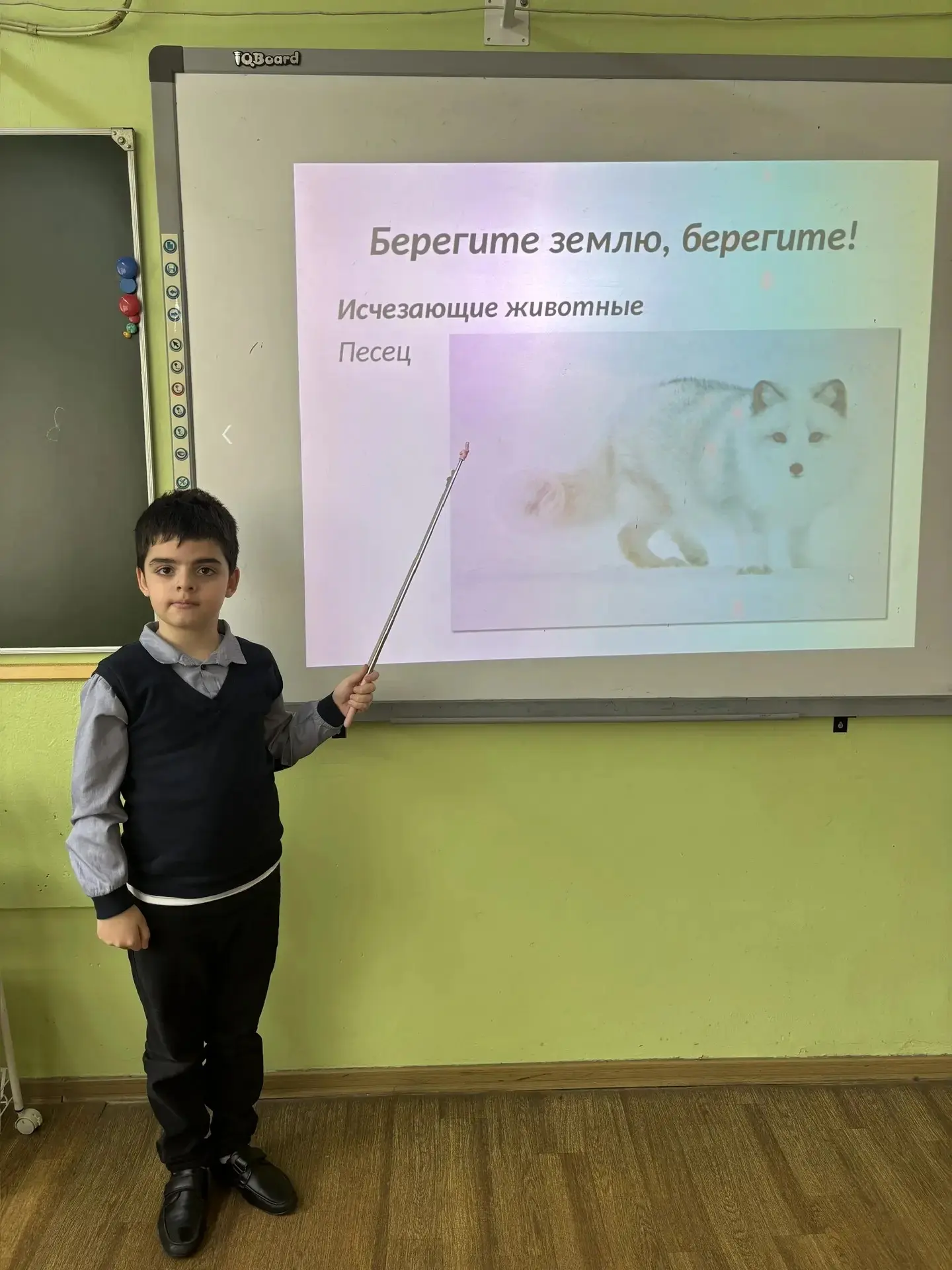 🌱 Экологическое просвещение во 2А: классный час «Красная книга» 🌱    💢Формирование экологической кул