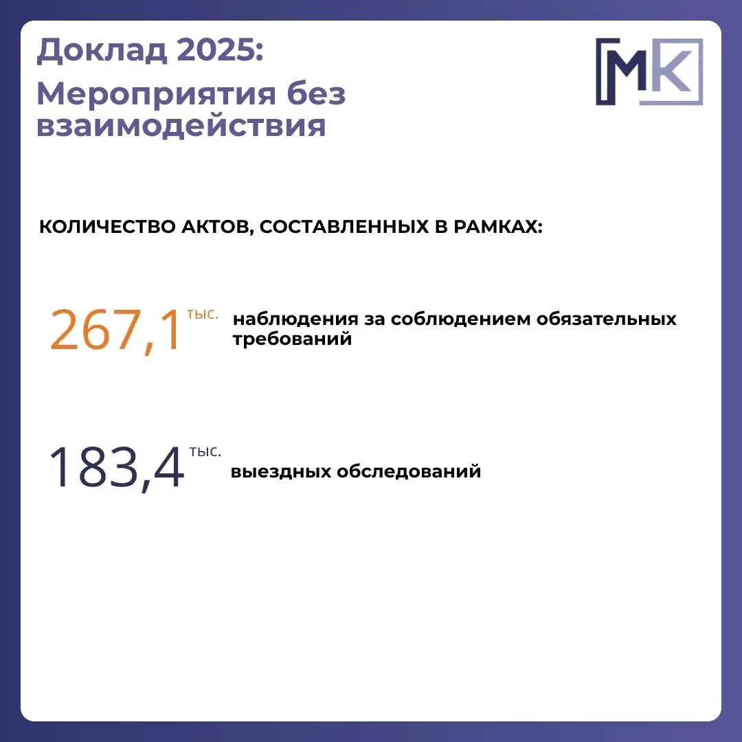 Доклад о госконтроле-2025