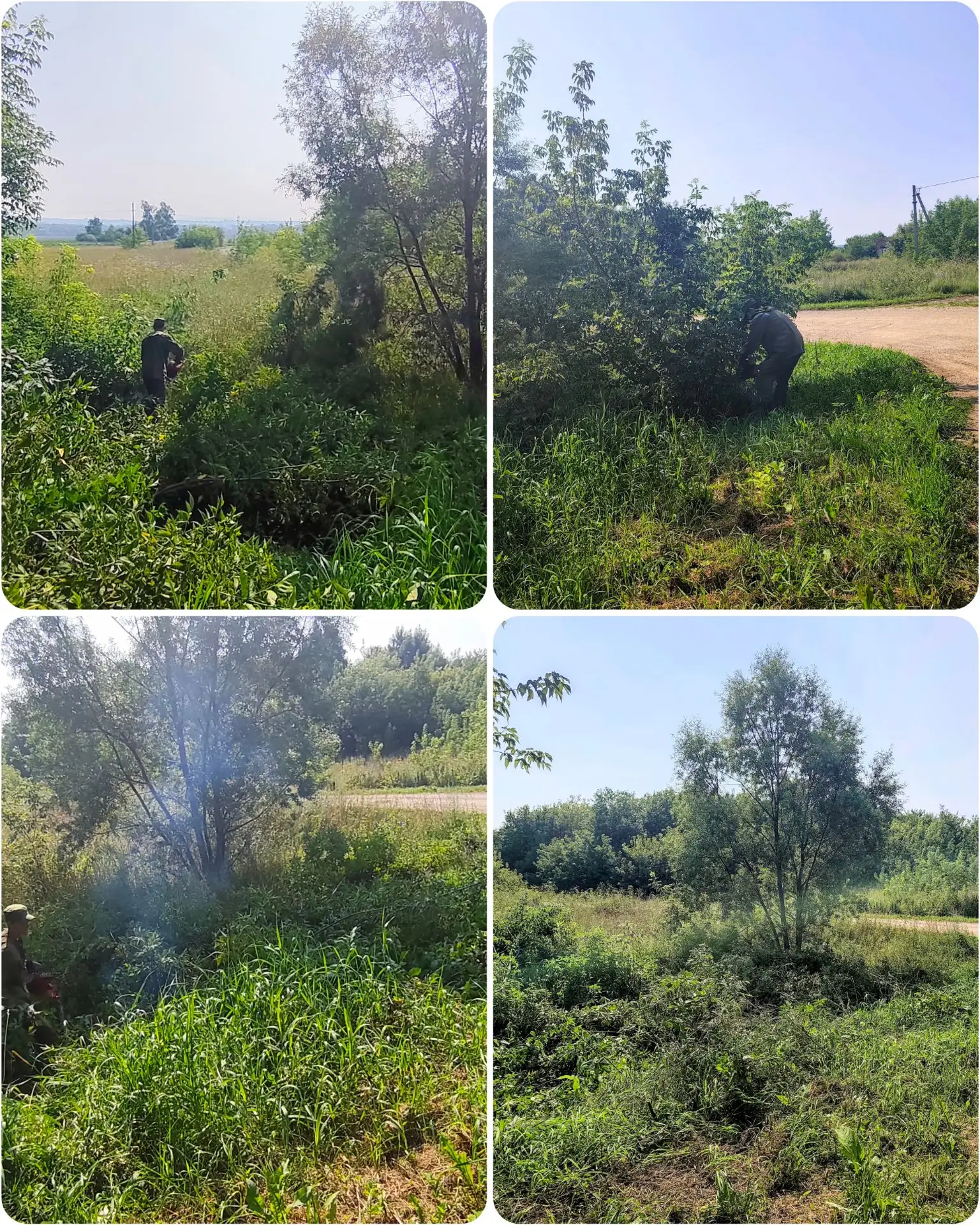 📍23 июля силами активистов была проведена работа по спилу сорной растительности на опа...
