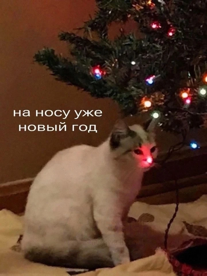 Креативный кластер «Адонис» запустил опен-колл на оформление новогодней елки во дворе к...