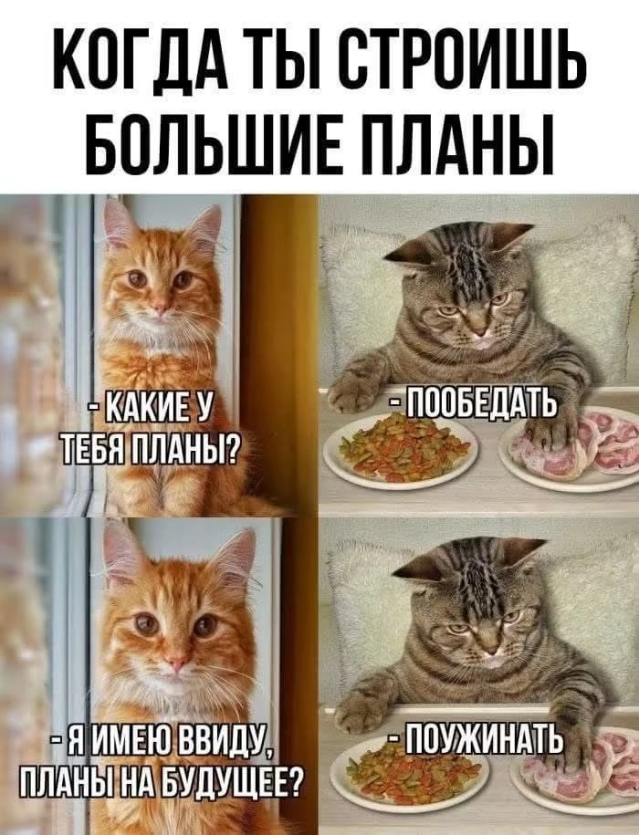 Строим планы🤩