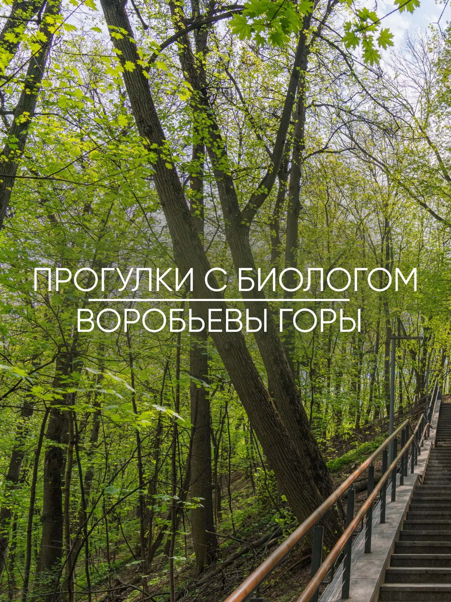 Записывайте план июльской прогулки: приехать на Воробьевы горы и узнать о природе все 🌳

10 июля ст