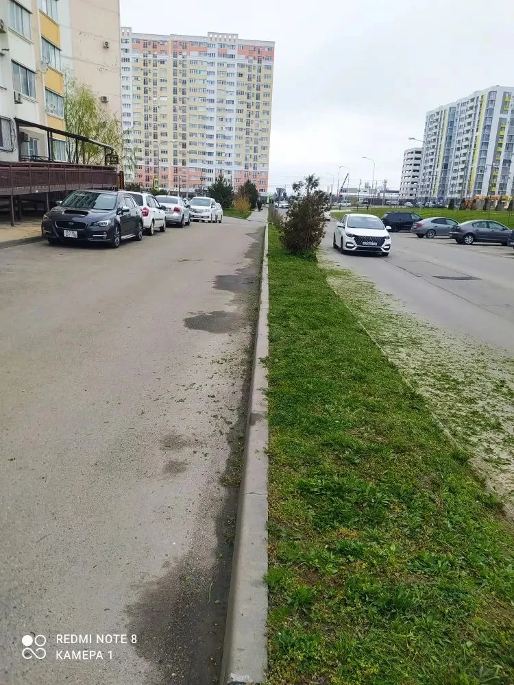 Уважаемые жители наших МКД по адресу: шоссе Супсехское🕊  🌿 Помпокос травы: забота о доме и душе  Каж