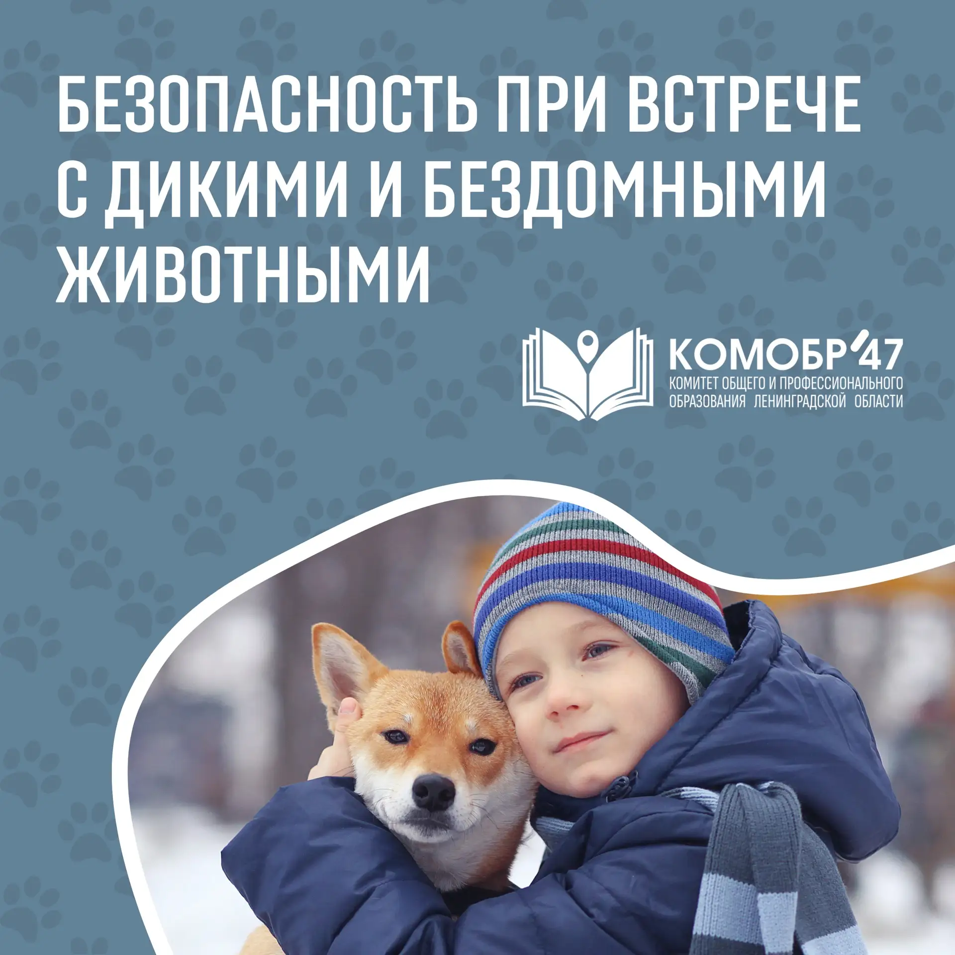 #ГоворимоБезопасности при встрече с дикими животными