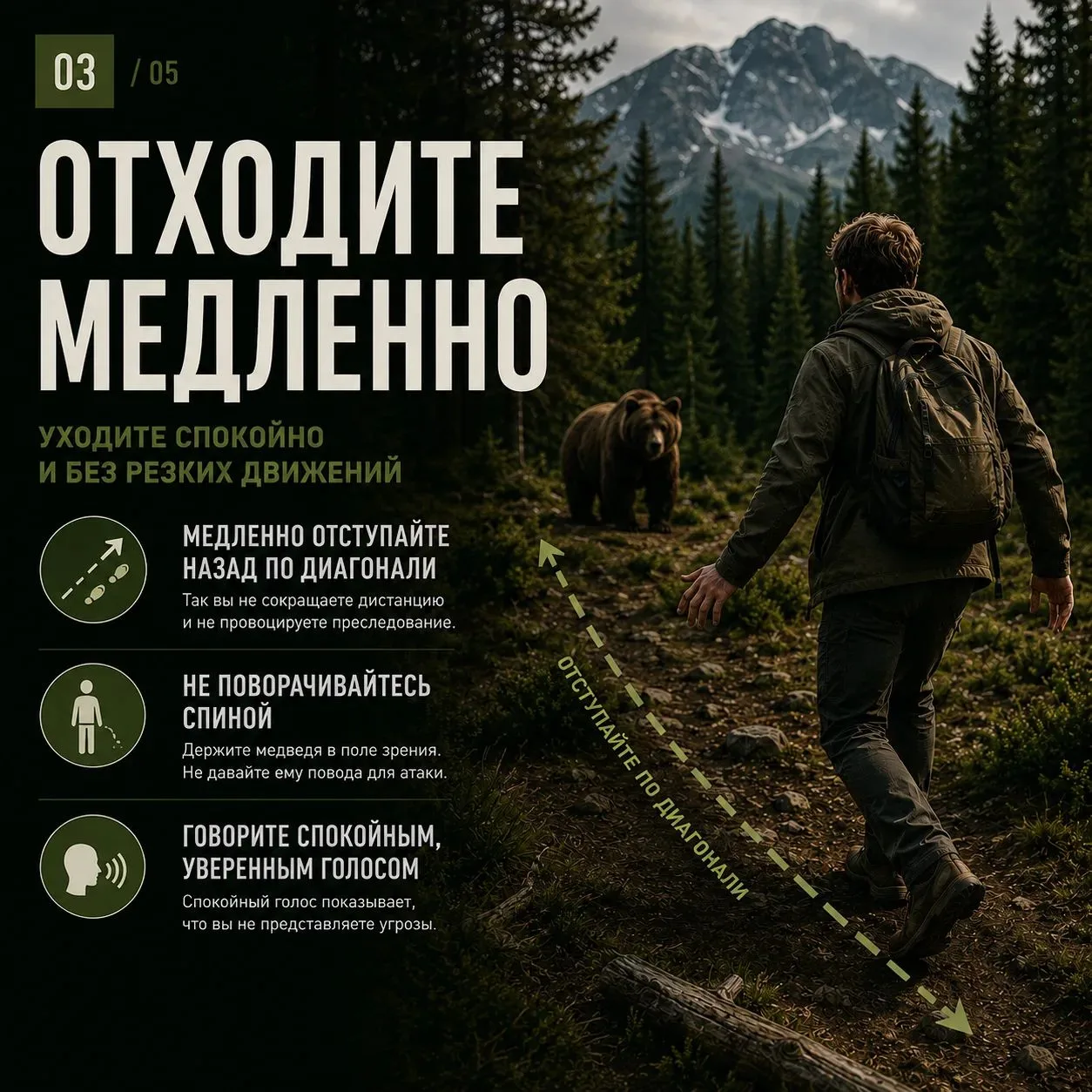 Встретить медведя в лесу – ситуация, к которой лучше быть готовым заранее.