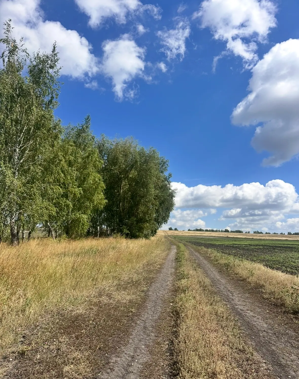🌸🍀🌸🍀🌸🍀🌸🍀🌸🍀🌸☀️🌾Доброе деревенское воскресное утро,наши дорогие 🥰🤗🕊️