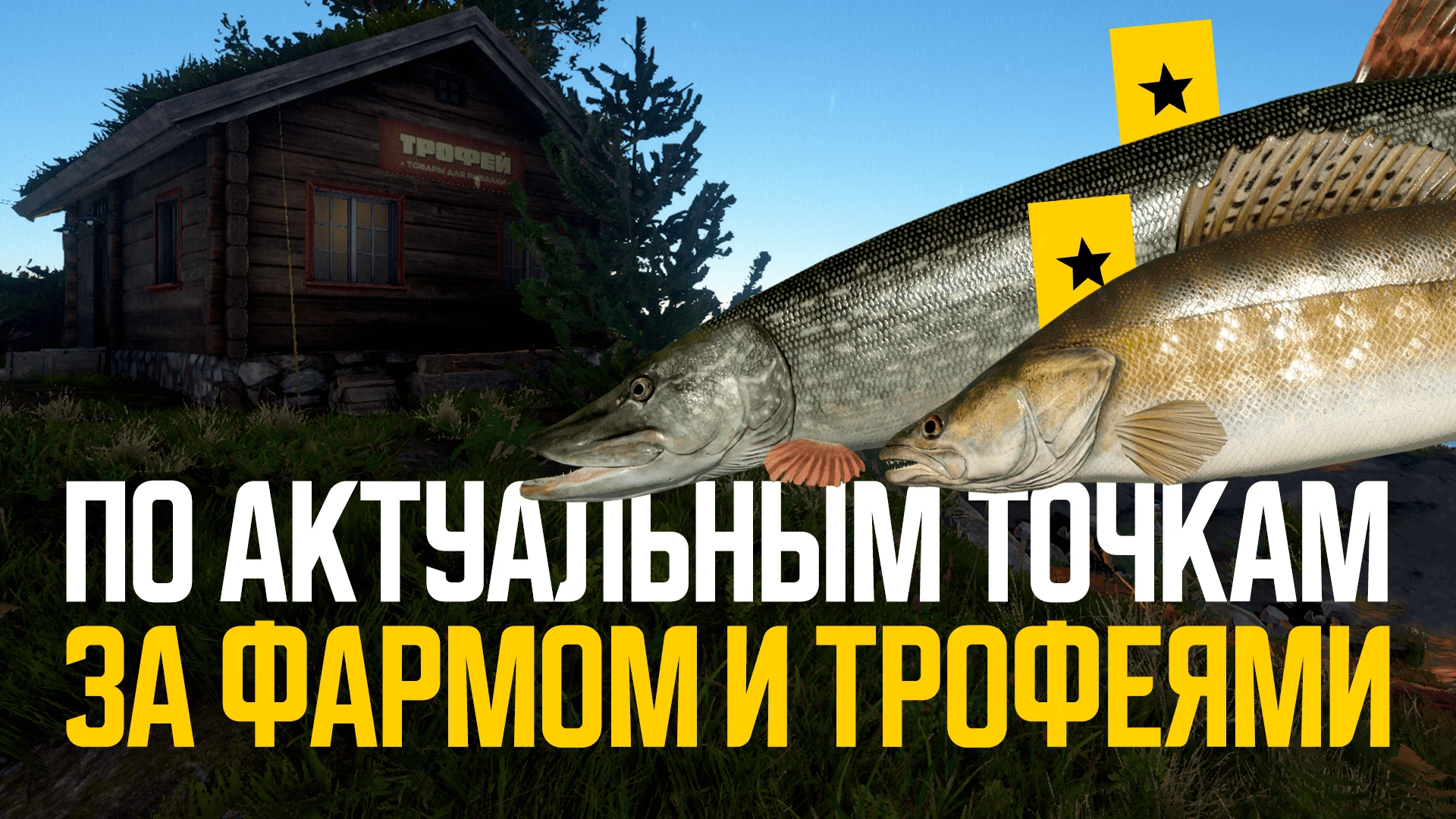 🎣 Стрим начался:
