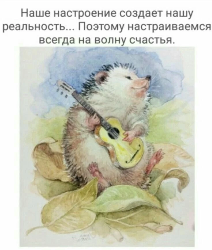 Список качественных каналов в МАКС | Смотреть ❤️