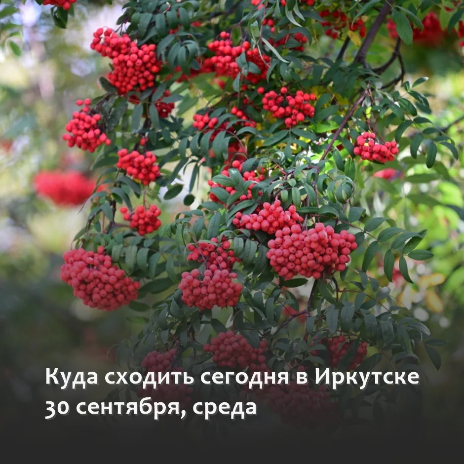 ▫АФИША ИРКУТСКА: ПЛАНЫ НА СЕГОДНЯ