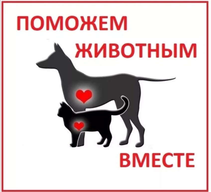 Юлия