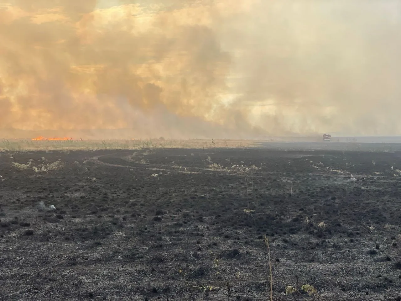 🔥 Благодарность огнеборцам.