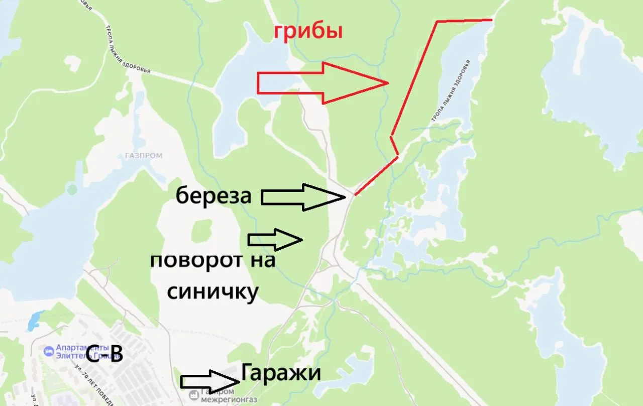 Наш золотой подписчик делится по секрету грибным местом!