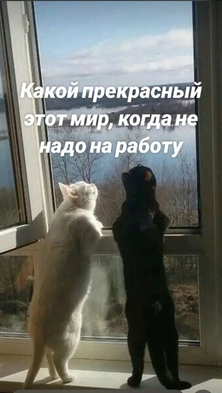 Снова суббота!  Всем отдыхать😉