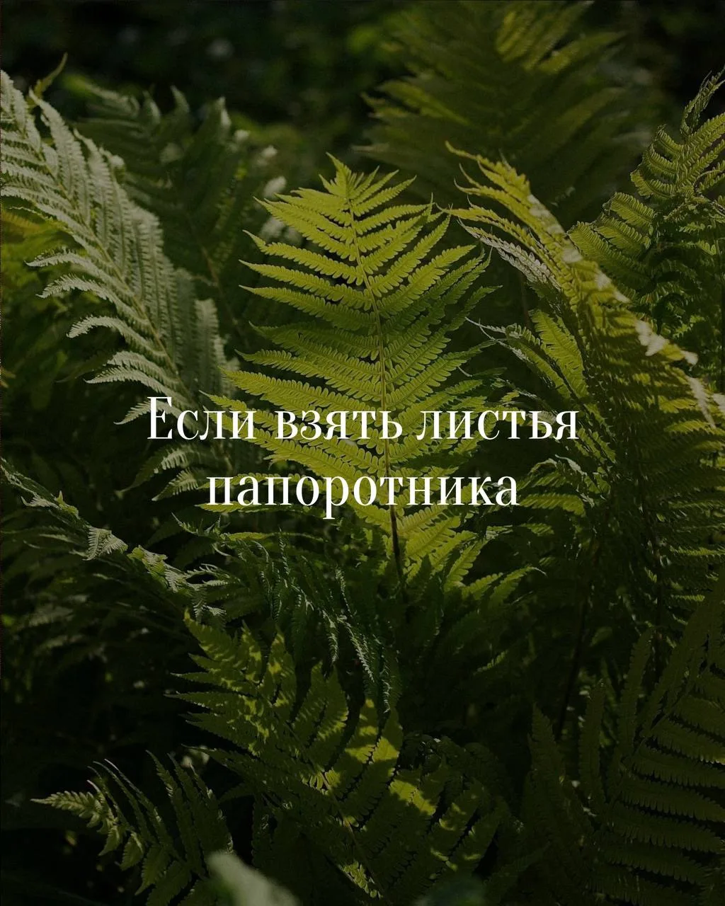 Иногда, чтобы создать красивый букет, не нужен сложный план 👌🏻