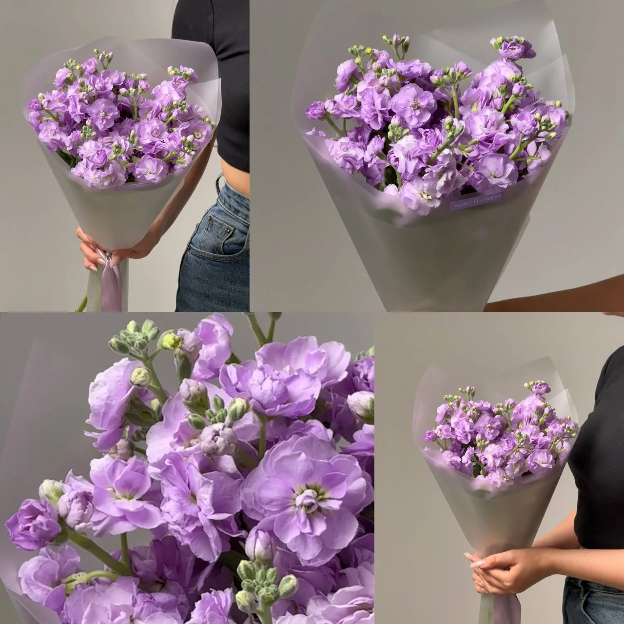 Маттиола лавандовая 💜
