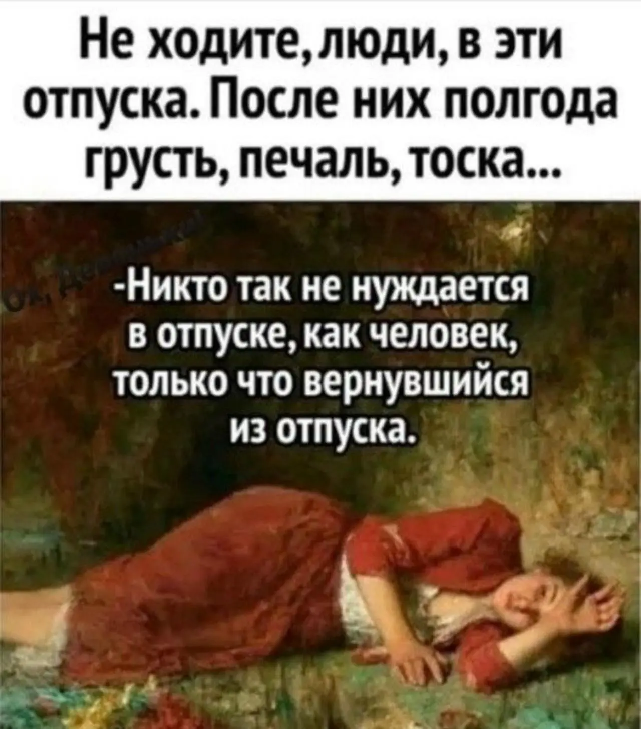 🤣🤣