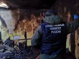 При пожаре во Льве Толстом погиб 71-летний мужчина, а в Липецке — 55-летний