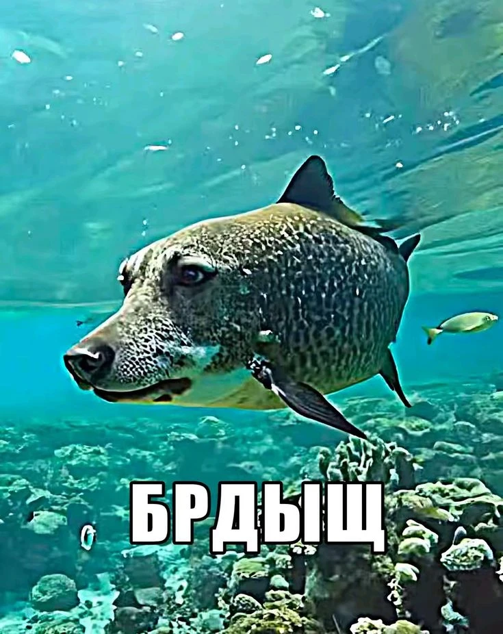 Добрый день, дорогие участники, голосование идет до 23:59 сегодняшнего дня! (Еще голоса...