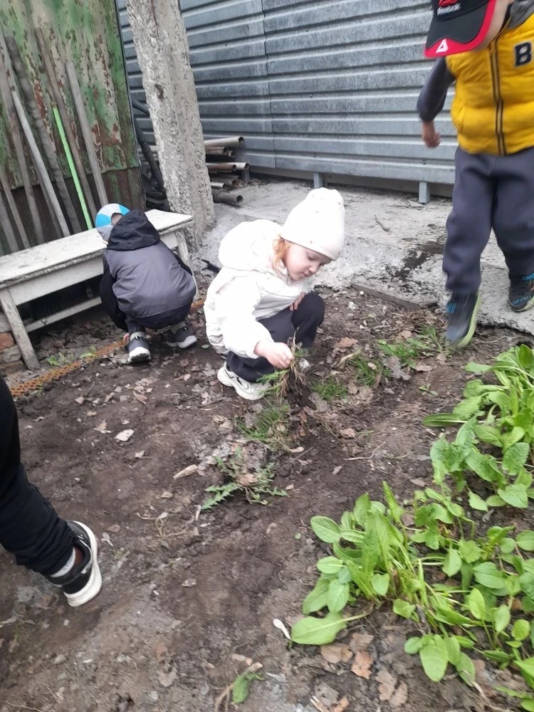 В МБДОУ №20 "Орленок" уже на протяжении нескольких лет действует собственный огород, ко...