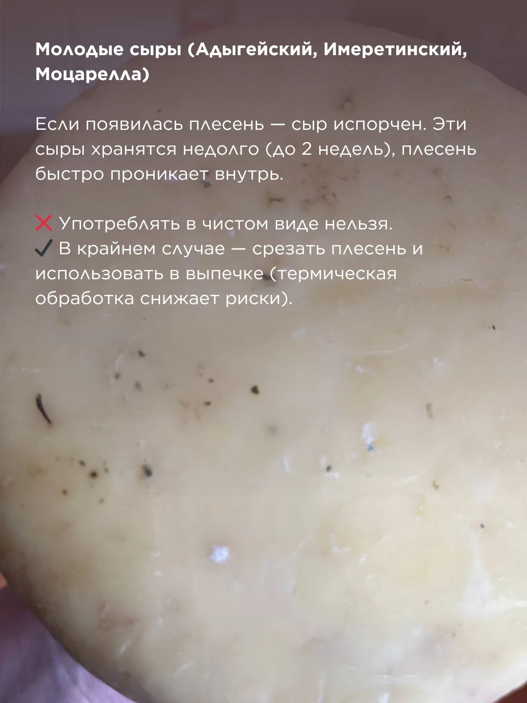 Сыр заплесневел в холодильнике: выбрасывать или можно спасти?   Каждый, кто хранит сыр дома, рано ил