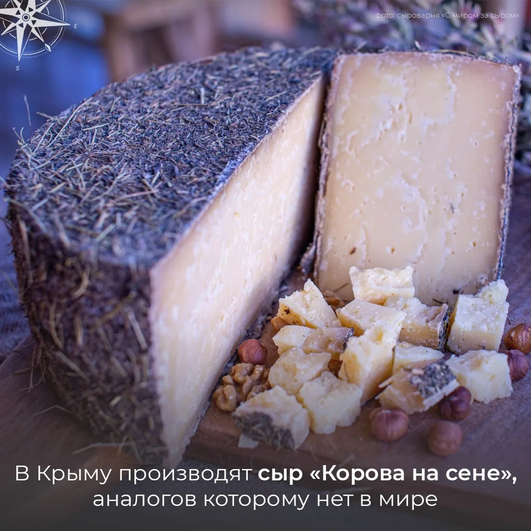 В Крыму делают сыр «Корова на сене», аналогов которому нет в мире 🧀