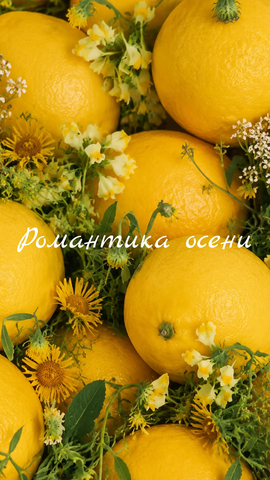 Изображение 5 к публикации «kari»
