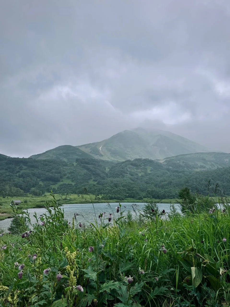 🌋 Вулкан Вачкажец, Елизовский район