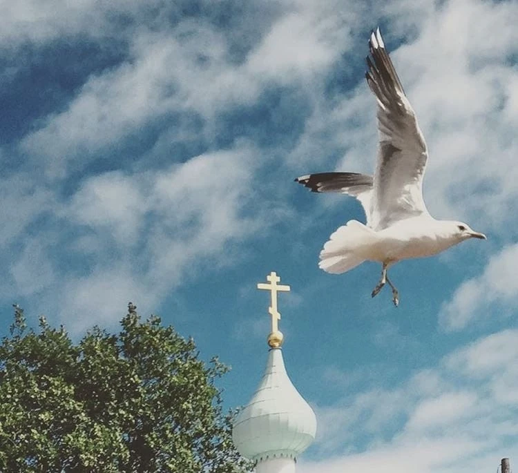 Не открывай грех другого для своего собственного оправдания, ибо благодать, которая до ...