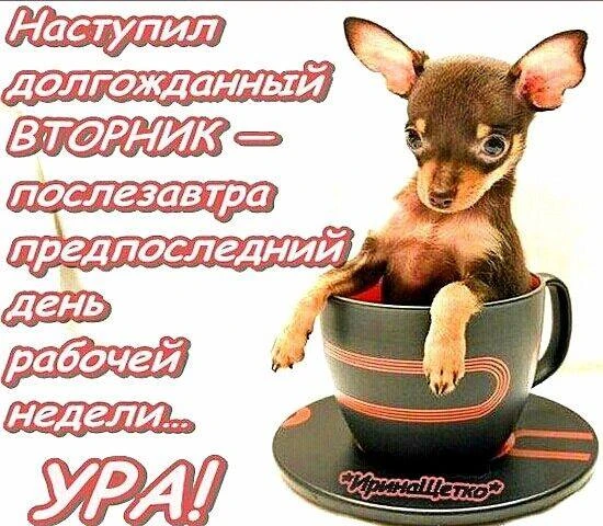 ❄️ Доброе утро, Тюмень! Вторник, 6 октября — минусовые температуры и слякоть!