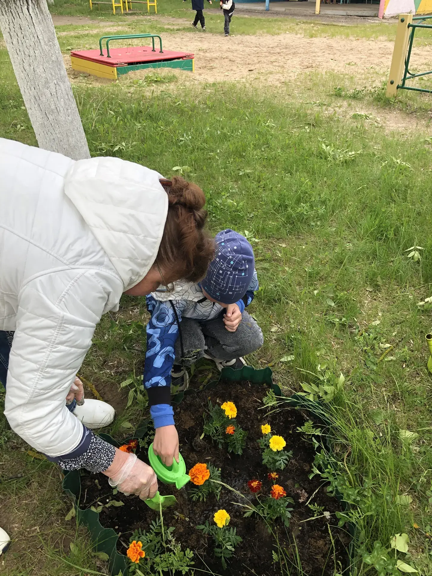 🌷 Цветник растёт — радость цветёт! 🌷